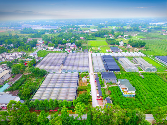 農業園弱電智能化系統工程項目解決方案及益處